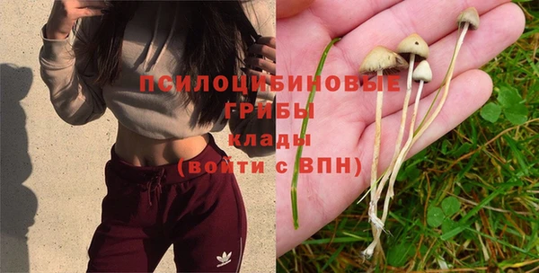 ешки Балабаново